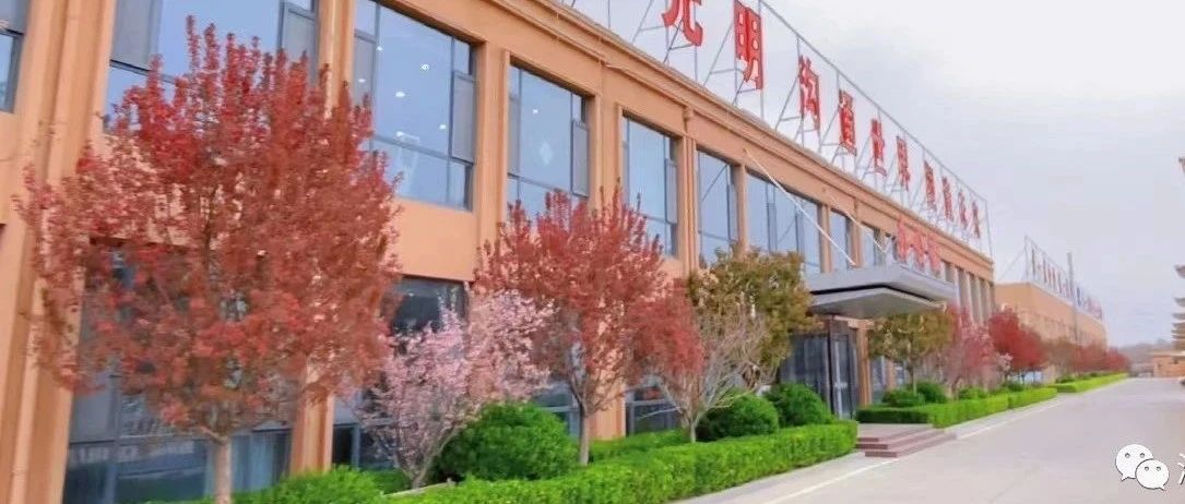 喜報(bào)！濱澳線(xiàn)纜公司首次成功獲得能源管理體系認(rèn)證證書(shū)